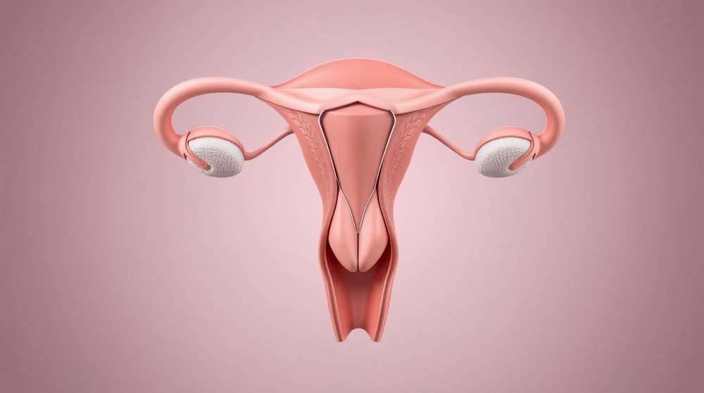 خطورة التغدد الرحمي | تأخير العلاج يُؤدي إلى مضاعفات خطيرة!