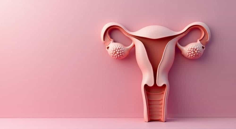 adenomyosis and hysterectomy