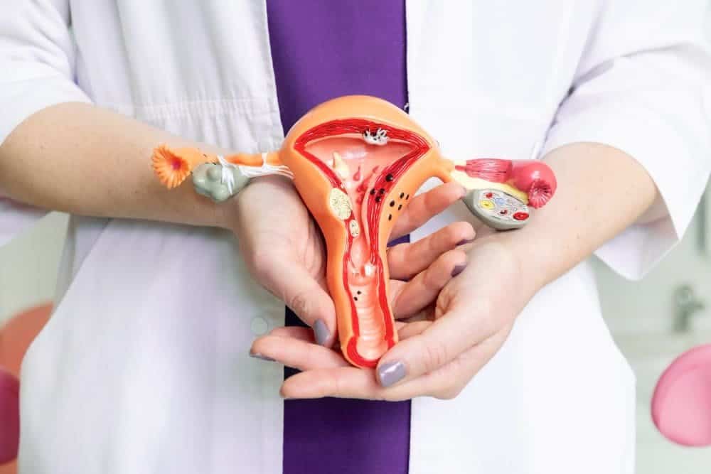 هل التغدد الرحمي هو الورم الليفي