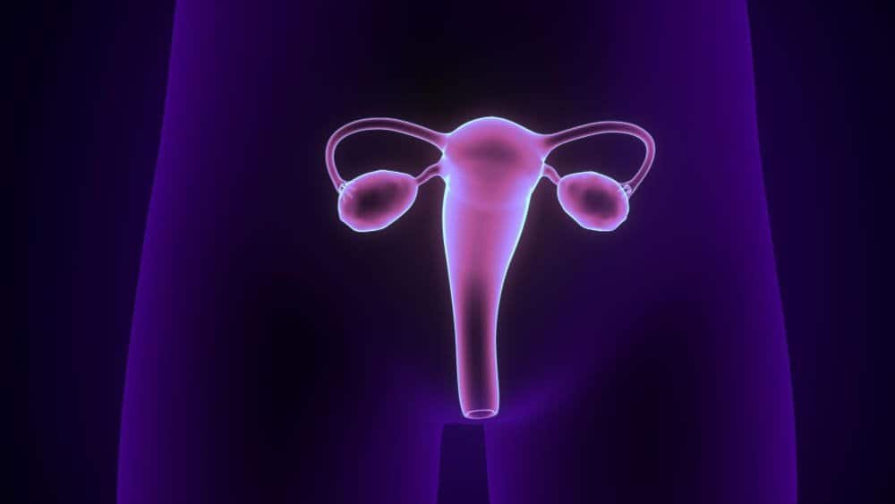 can adenomyosis cause cancer