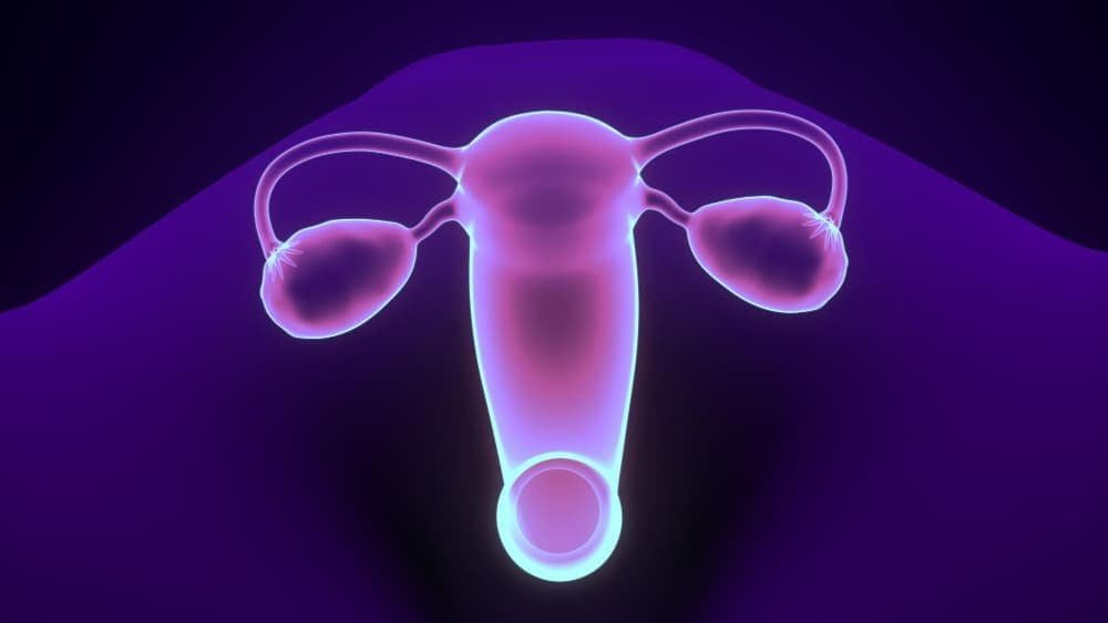 is adenomyosis genetic