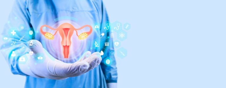 بطانة الرحم