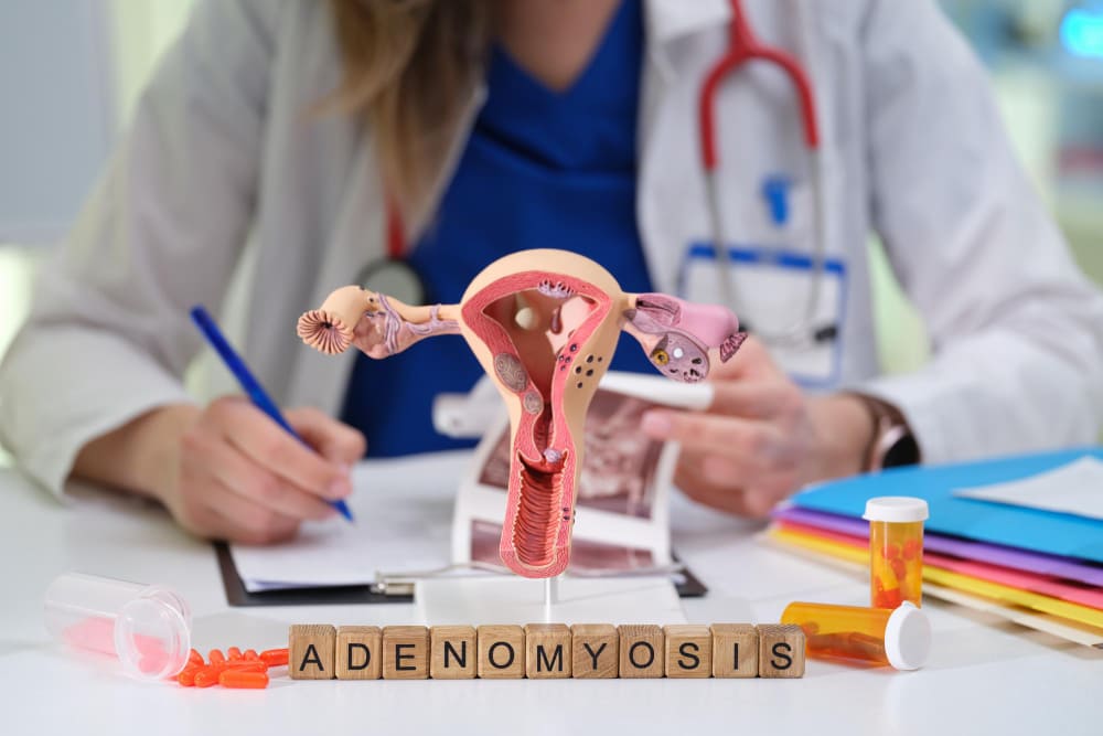Early Changes of Adenomyosis: Understanding the First Signs