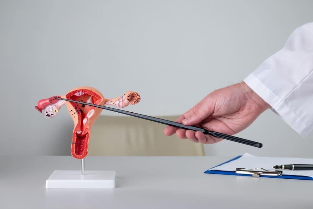 What Is the Difference Between UAE and UFE? A Clear Guide